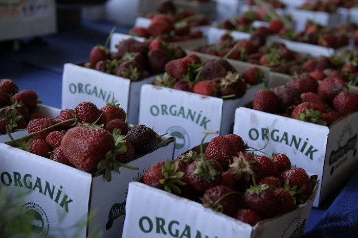 Organik gıda: Üretiyoruz ama tüketmiyoruz