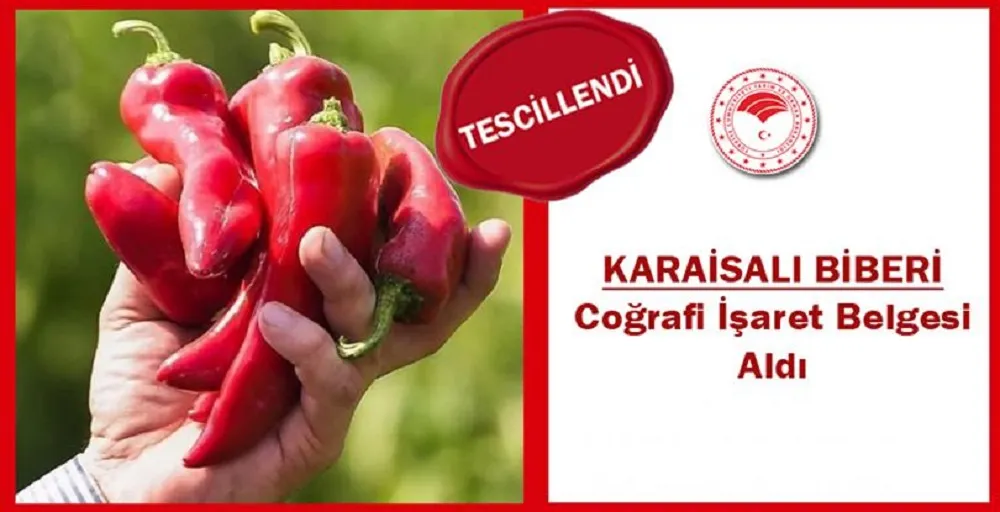 KARAİSALI BİBERİ TESCİLLENDİ