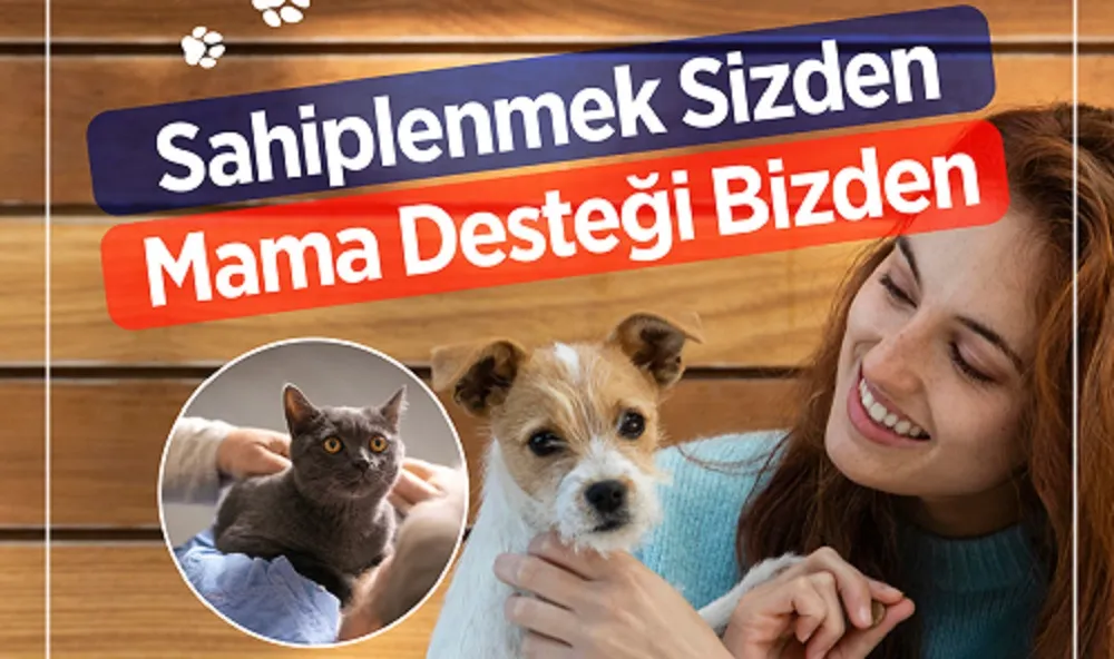  “SAHİPLENMEK SİZDEN MAMA DESTEĞİ BİZDEN” KAMPANYASI