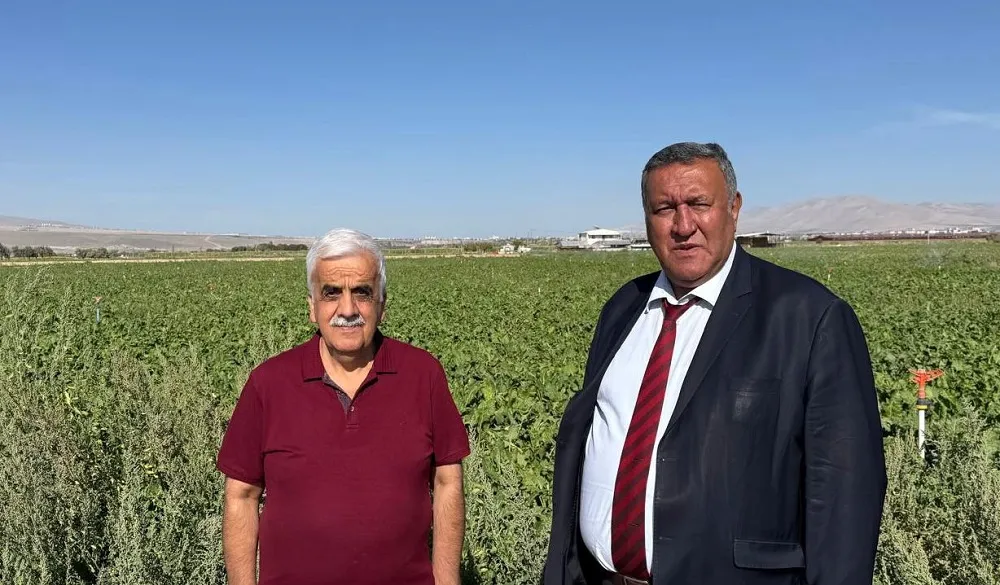  “ÇİFTÇİ, ŞEKER PANCARI ALIM FİYAT AÇIKLANMASINI BEKLİYOR”