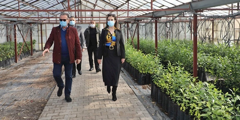 ÇUKUROVA ÜNİVERSİTESİ NARENCİYE GEN BANKASINDA 140 TÜR YERLİ GEN KORUMA ALTINDA