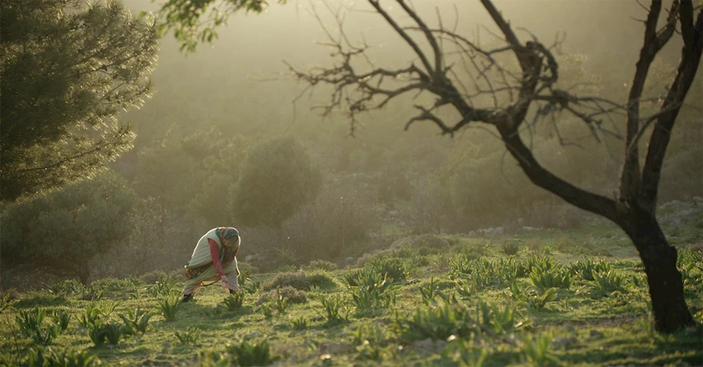TARSUSLU KADINLAR İLK SİNEMA DENEYİMLERİNİ, TURNA MİSALİ FİLMİYLE YAŞADI